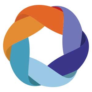 The Community Solution Icon