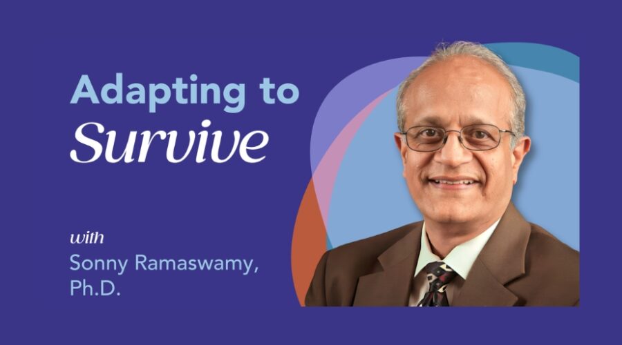 Higher Ed Is on Shaky Ground, But Still Standing